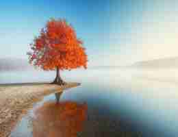 高﻿质﻿量﻿外​链‍平‍台‍